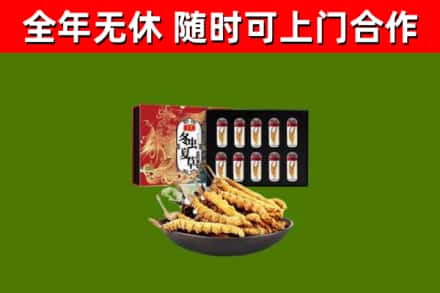 郓城县回收冬虫夏草价格